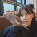 리프패럿시민공원점 이미지