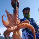 나라3호 이미지