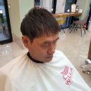스파커치4