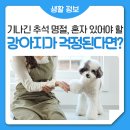 25시 펫샵 이미지