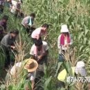 삼해부동산 이미지