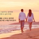 행복 Daum카페