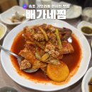 배가네찜 | [강원] 속초교동맛집 배가네찜 추천 후기