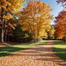 메종호텔 이미지