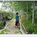 만년소녀 이미지