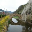 영산 만년교 이미지