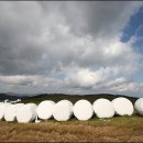 유덕목장 이미지