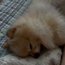 01-18 동구 | 광주 동명동 술집, [무재]에서 생일파티한 후기