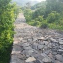 성미산성 이미지