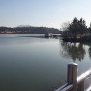 중앙탑면사무소 이미지