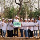 생명의 숲 이미지