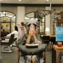 글로리아헤어샵 | 문정동 미용실 &#39;준오헤어 현대시티몰가든파이브점&#39;에서 클리닉+컷 받고 인생머리 만났다!!