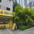 하양새롬공인중개사사무소 | 세종시 새롬동 운좋은 부동산 방문기
