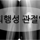 바로세움정형외과의원 이미지