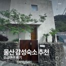 소금2 | 울산 감성 숙소 추천/ 소금맨션 1박 2일 후기