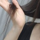 물미역헤어팩 로델리아 웰컴투 휴이엠 모이스처밤 사용 후기