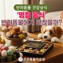 조은동물의료원 이미지