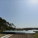 진하농장 이미지