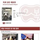 오복동물치과병원 이미지
