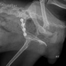 단비동물병원 이미지