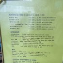 [마곡/마곡나루] 어메이징피자 - 치즈 대박! 피자맛집