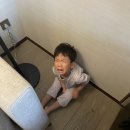 성아공원 화장실 | 대련 : 아이와 가기 좋은 성아해양세계(돌고래쇼) / 포시즌스호텔(디너,수영장,룸서비스),동관지에