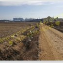 한솔주유소 이미지