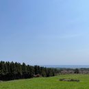 숲에오름협동조합 이미지