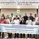 김화농업협동조합 이미지