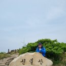영 농장 이미지
