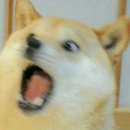카페수 이미지