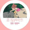 날개브라더스 이미지