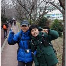 낙동강제방(3) 이미지