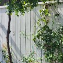 햇살테라스 이미지