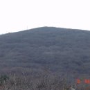 광일목장 이미지