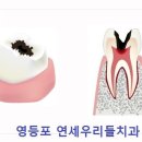연세우리치과 - 은평구 진관2로 12 | 연세우리치과