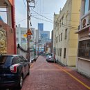 동구목욕탕 | 부산 24시 셀프 애견 목욕탕