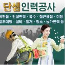 단샘인력공사 이미지