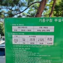 신갈공영주차장 | 용인 기흥구청 &#39;기흥구 공영 주차장&#39; 평일 요금 및 주말 주차 후기