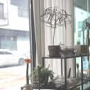 거베라 | 거베라 캔들 만들기 어렵지 않을까요? 초보자 수업 후기