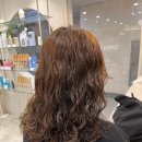 데일리수 이미지