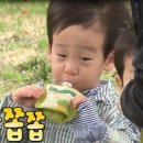 쌍둥이푸드