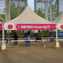 서구-49 | 2025년 대전 서구청장배 마라톤대회 10km 후기