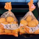 일신당구클럽 이미지