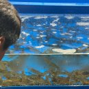 문화촌로19번길 이미지