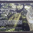 청산칡냉면 이미지