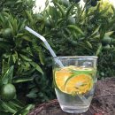 주생농장 이미지