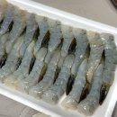 다원약품 이미지