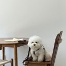 카페플리즈 이미지