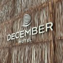 과일깎는오빠 | 25.02.28-25.03.04 나트랑 여행기 with, 시내언니🇻🇳